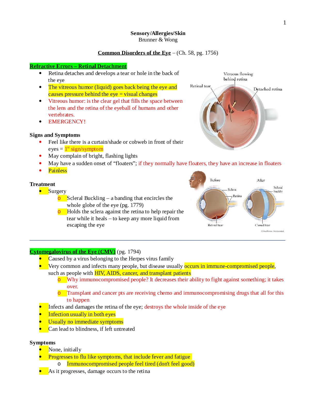 Preview image for Eye, Ear, Skin, and Allergies